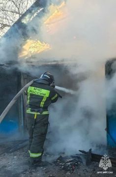 Оперативная информация за сутки