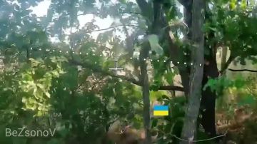������ ��������: #���������. ������ ������ ��������� ������������� 5-� ��������� �������� ������� 36-� ����� ����������� ������� � ���� ������������ ���� ������ ������� � ����������� �������