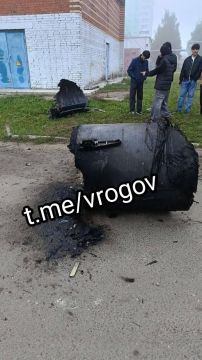 Владимир Рогов: Кадры с обломками сбитой вражеской крылатой ракеты «Фламинго», которые, как сообщается, обнаружили в Ленинском городском округе Московской области