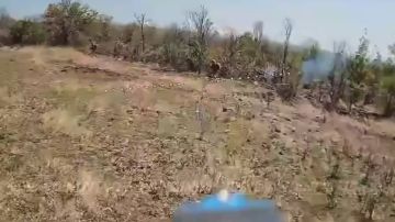 77 ���� ����� ����������� ������ ������������ ����� ������ ������ ��� � ����������� �������