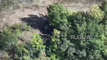 ������ �������: ��������� ������� ���� ���������� ����������� ������������ ������� ��������� ��� � ������� � ����������� �������