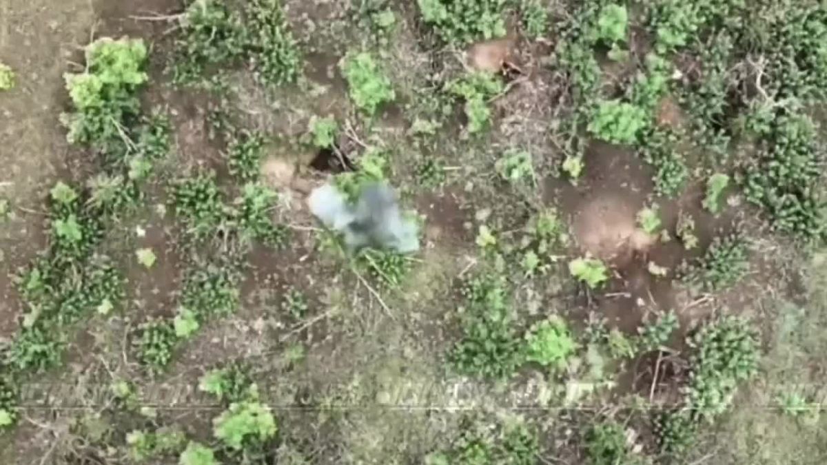 Владимир Разин: Дроноводы 14 бригады спецназа отработали по украинской пехоте в Запорожской области