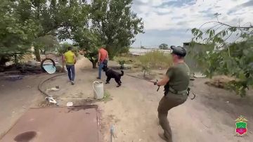 В Семеновке полицейские обнаружили наркотики и семь кустов конопли