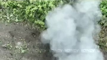 ��������� ���� 38 ��������� ����������� �������������� ������� 35 ����� ����������� ����� "������" ������� � ���������� ����� ���� ���������� �� ����������� �����������