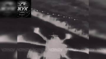 ��������� ���� 26 ����� ���� 36 ����� ����������� ����� ������� ���������� �������� ������� ��� �� ����������� �����������