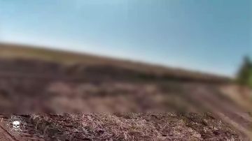 Бойцы отряда БАРС-32 запечатлели на видео момент сбития вражеского БпЛА самолетного типа Hornet