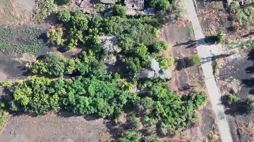 Ивановские десантники рассказали подробности освобождения населенного пункта Новопавловка в Запорожской области