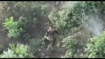 ��������� 14 ��������� ������� �������� ����������� ����� "������" ���������� ����� �� "������" ��� �� ����������� �����������