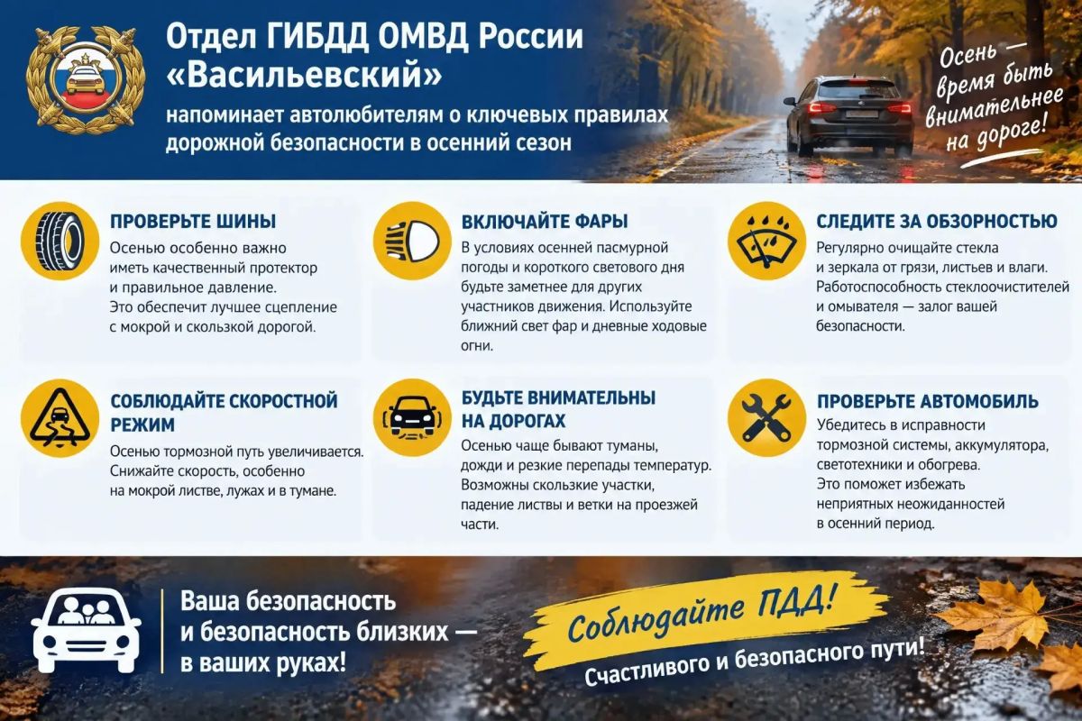 ОГИБДД ОМВД "Васильевский" напоминает ключевые правила безопасности в непогоду: