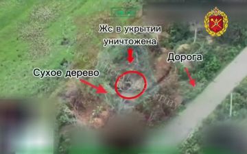 Операторы БПЛА 49 общевойсковой армии группировки "Днепр" вскрыли перемещение живой силы противника и передали координаты артиллерии