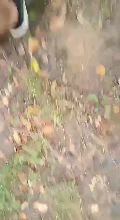 В Виннице военные вмешались в конфликт с сотрудниками ТЦК