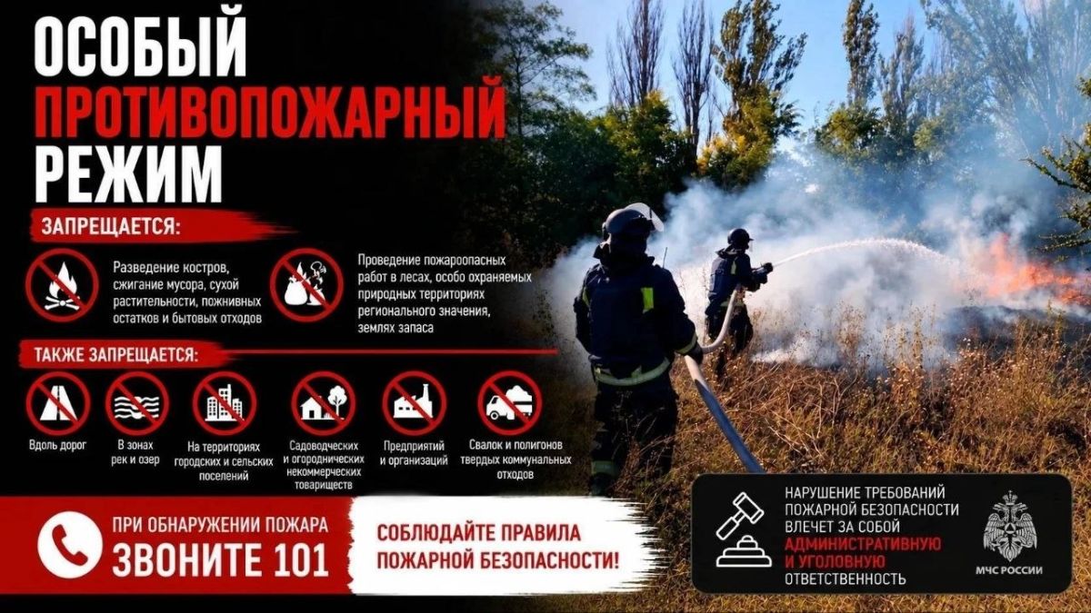 В Запорожской области пресечены нарушения требований особого противопожарного режима