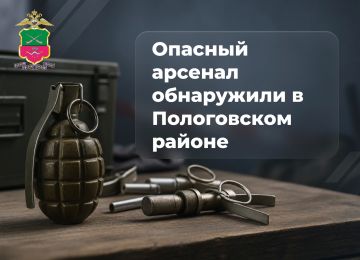 Опасный арсенал обнаружили в Пологовском районе