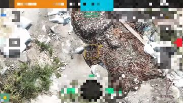 Оператор БПЛА Росгвардии уничтожил боевиков ВСУ с помощью ударного FPV-дрона в Запорожской области