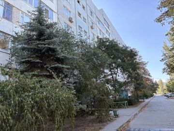 Жительница Энергодара до смерти забила мать в своем доме