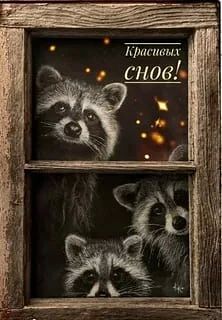 Доброй ночи, дорогие подписчики! Доброй ночи, Запорожье!