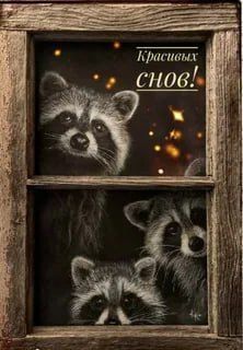 Доброй ночи, дорогие подписчики! Доброй ночи, Запорожье!
