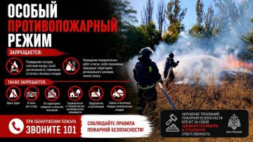 В Запорожской области пресечены нарушения требований особого противопожарного режима