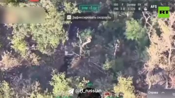В Запорожской области артиллеристы уничтожили сеть опорных пунктов ВСУ — это создало условия для дальнейшего продвижения подразделений группировки войск «Восток»