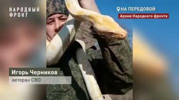 ���� ��������: �����-�������� �������� ������ ��� ������ �� ��� ������ �� ����� ��������