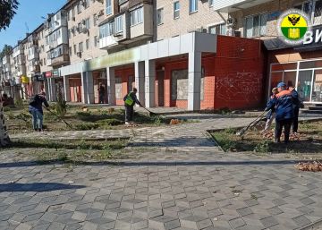 � ���������� ������ ������� �� ����������