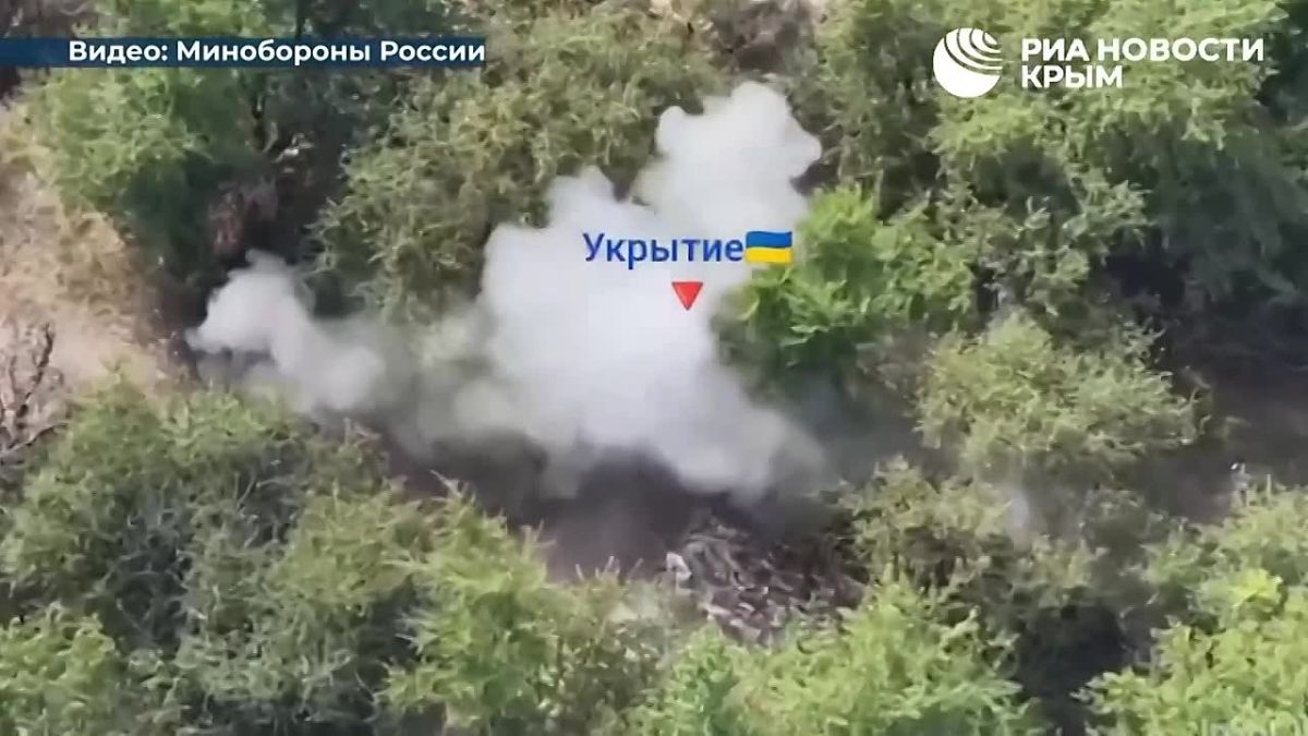 Новороссийские десантники усиливают давление на позиции ВСУ в Запорожской области