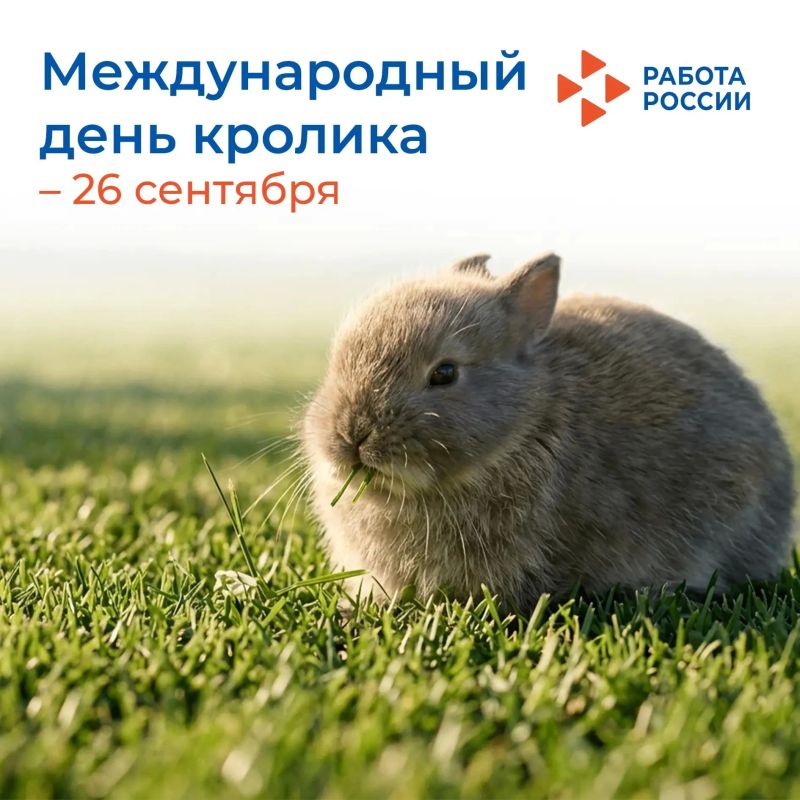 26 сентября – Международный день кролика