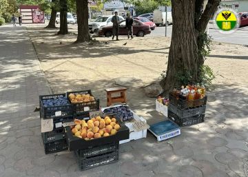 В Мелитополе продолжают работу специалисты отдела муниципального контроля в сфере благоустройства