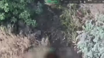 ��������� 120 ������� ������� ������ ���������� �� ����� ���� ��� � ����������� �������