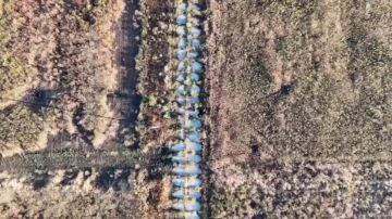 Гвардейцы 14 отдельной бригады спецназа группировки войск "Восток" продолжают охоту на "кротов" ВСУ на Запорожском направлении