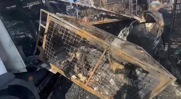 ���� �������: ������ ������������ �������� ������ ������ � ���������