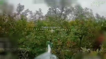 ��������� ���� 5 ��������� ����������� �������� ������� 36 ����� ����������� ����� "������" ���������� ���������� ����� ���� ��� �� ����������� �����������