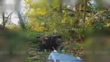 ��������� �� ������� ������������� ������ ���������� ���������� � ����������� �������