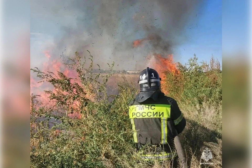 Пять пожаров потушили в Запорожской области за сутки