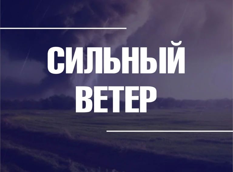 МЧС России по Запорожской области предупреждает об усилении ветра