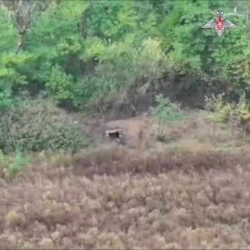 � ��������� ���� ������� ������������ ������ �������� � ������ ���, � ������������ �������� ������ ���������� ���������� ����, ��������� �� ������ � ����������� � ��������������� � ���������� ��������������