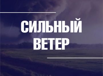 МЧС России по Запорожской области предупреждает об усилении ветра
