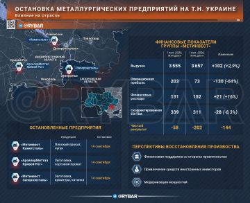 Стальная пауза. что означают остановки крупных комбинатов для экономики т.н. Украины?