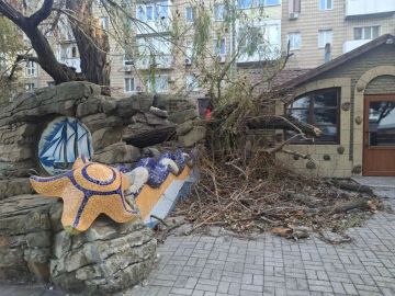 Осень вступила в свои права, а с ней у МБУ "Благоустройство