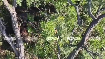 ��������� 14 ��������� ������� �������� ����������� ����� "������" ������� � ���������� ����� ���� ��� �� ����������� �����������
