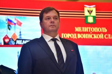 Балицкий: Запорожская область достигнет общероссийских стандартов к 2030 году