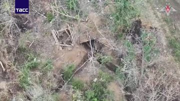 ����� ������������ ����������� ������ �������� ����������� �������