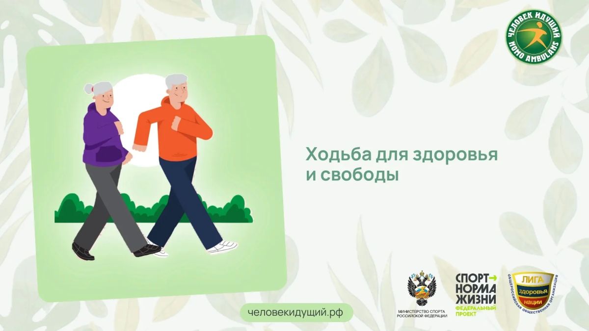 Сколько шагов в день нужно пожилому человеку? Учёные измерили активность нескольких тысяч людей старше 60 лет и выяснили: чем больше шагов, тем лучше качество жизни, подвижность и состояние коленей