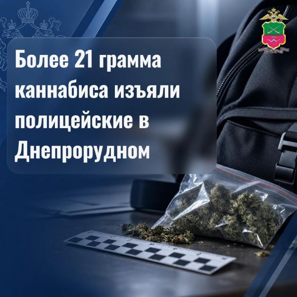 Более 21 грамма каннабиса изъяли полицейские в Днепрорудном