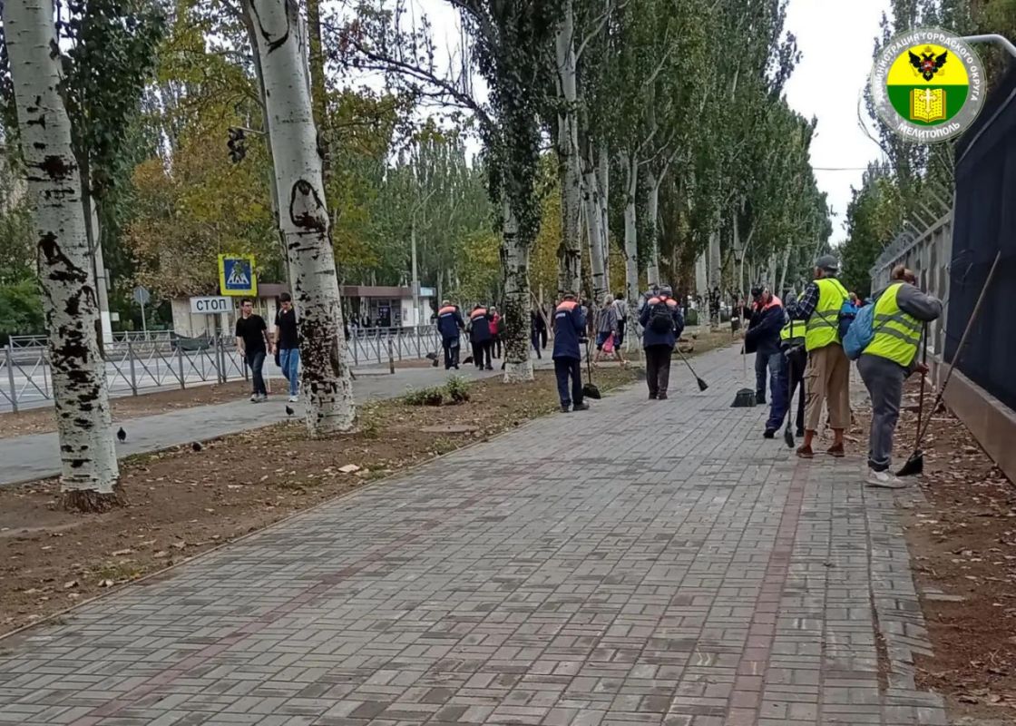 На проспекте 50-летия Победы прошёл субботник