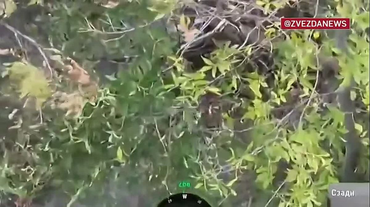 Прятались в деревьях и оборудованных укрытиях: ВСУ попытались продвинуться к передовым позициям, но их нашли российские бойцы