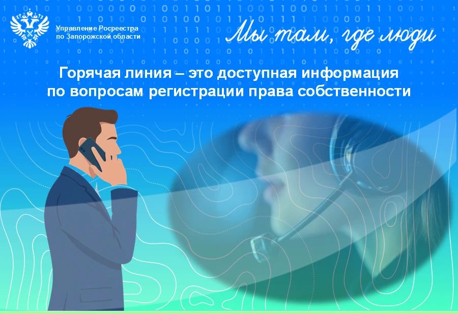 Горячая линия: справочная консультативная помощь заявителям