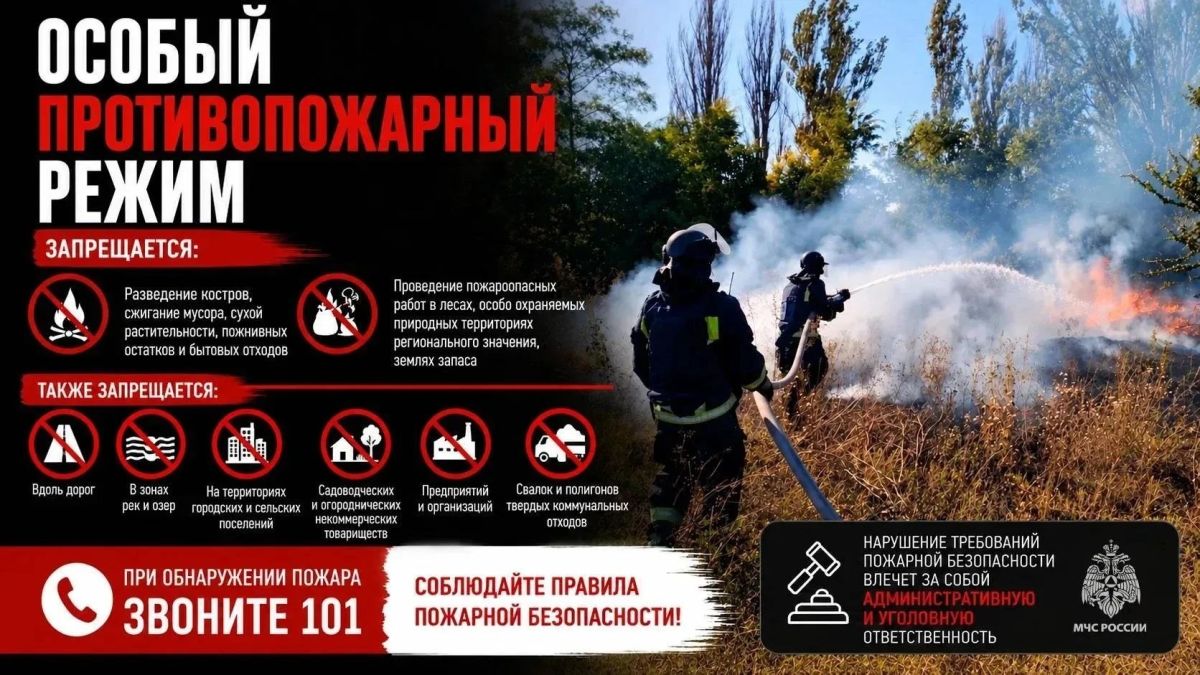Более 230 пожаров произошло в Запорожской области в период действия особого противопожарного режима