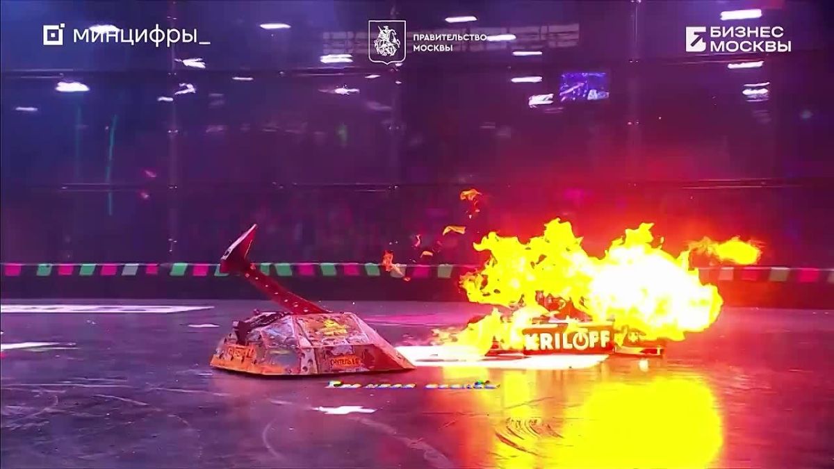 Отборочные этапы главного технического чемпионата России в области робототехники – «Битвы роботов» стартуют сегодня и продлятся до 11 октября