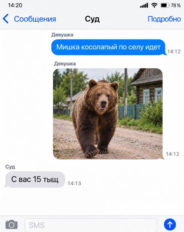 Россиянка сгенерировала в ИИ фото медведя в селе и получила штраф 15 тыс